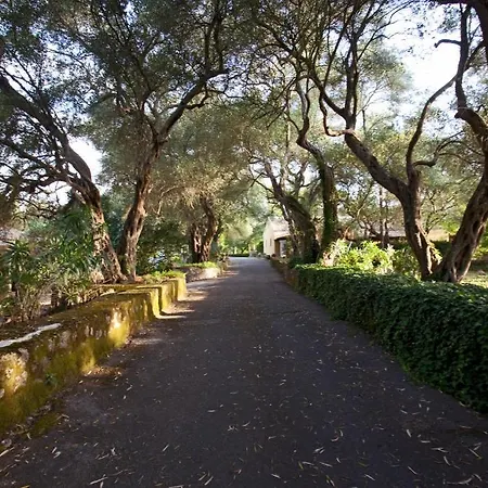 Pelecas Country Club Hotell 4*